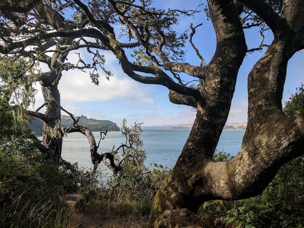 Tomales Bay State Park | 1100 Pierce Point Rd, Inverness, CA 94937 | Phone: (415) 669-1140