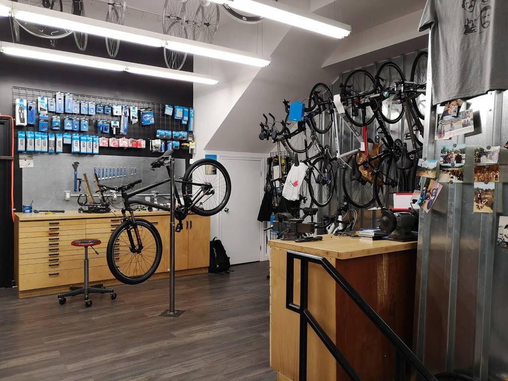 CYCLE CULTURE | 12218 Tecumseh Rd E, Windsor, ON N8N 1L9, Canada | Phone: (519) 735-0404