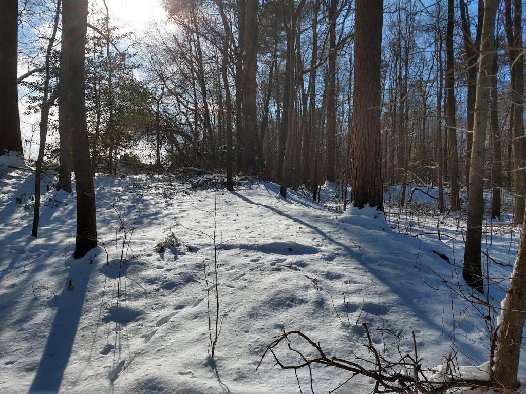 Milford Millponds Nature Preserve | 8187 Abbotts Pond Rd, Greenwood, DE 19950, USA