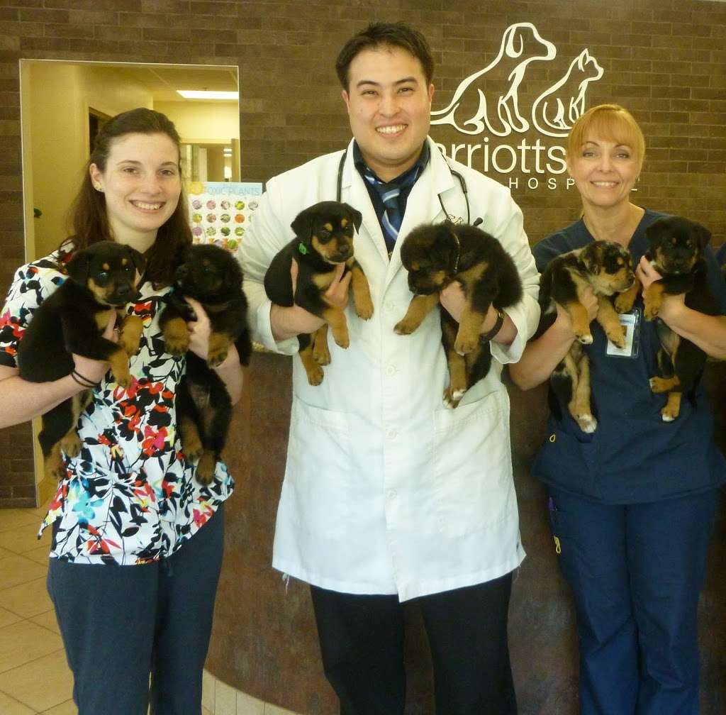 Marriottsville Animal Hospital | 2020 Marriottsville Rd Suite A, Marriottsville, MD 21104, USA | Phone: (410) 480-2222