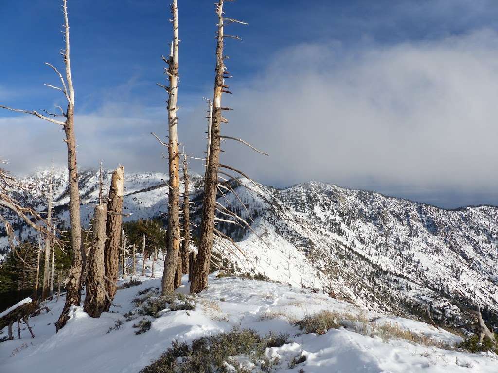 Windy Gap Trail | Windy Gap Trail, Azusa, CA 91702, USA