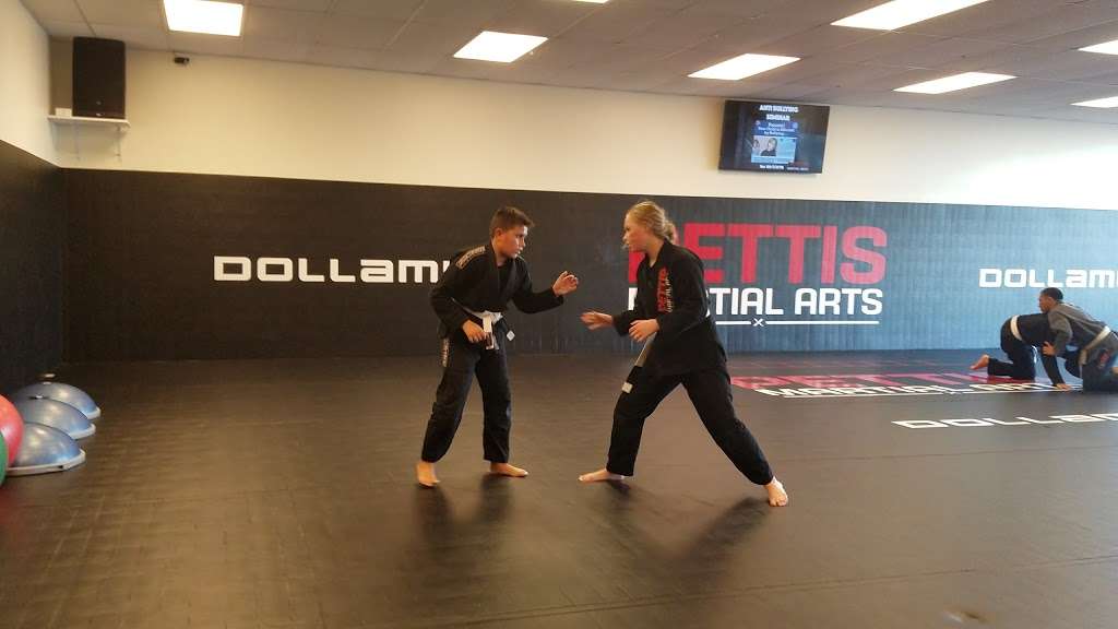 Pettis Martial Arts | 2300 E Layton Ave, St Francis, WI 53235, USA | Phone: (414) 763-6562