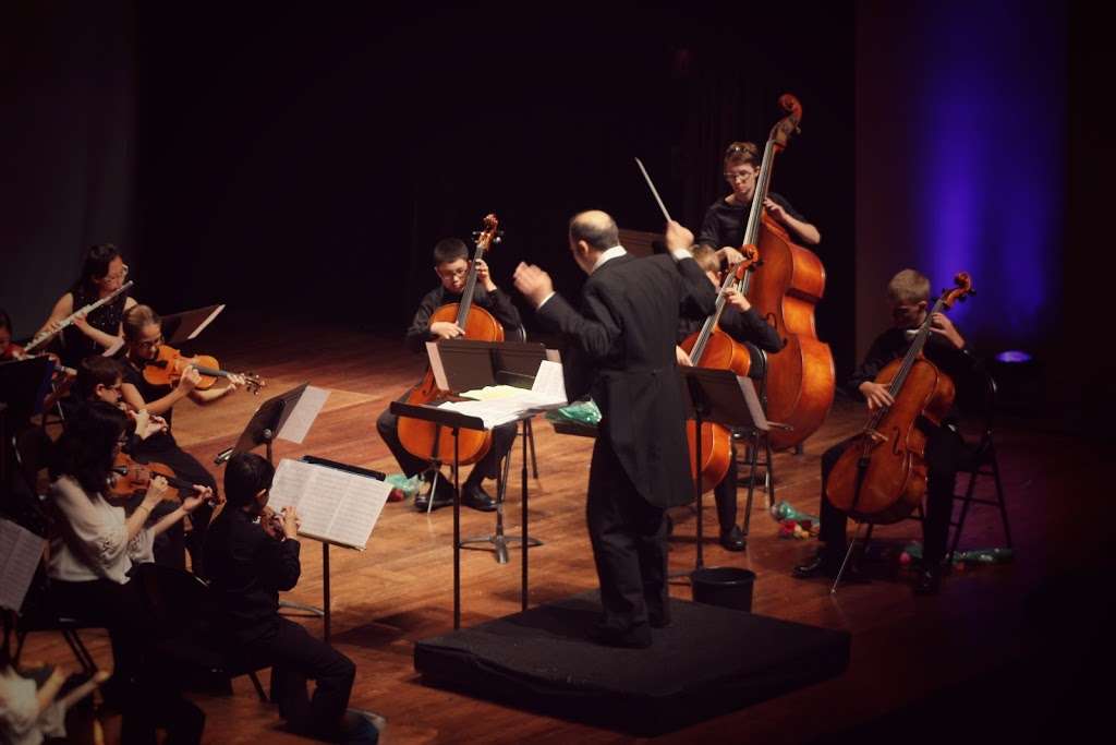 Sunflower Chamber Orchestra | 1535 Park Ave, River Forest, IL 60305, USA | Phone: (773) 203-2816