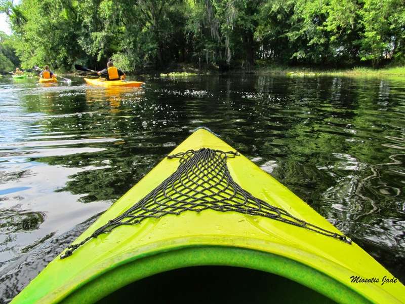 Shingle Creek Trailhead | 13400 Town Loop Blvd, Orlando, FL 32837, USA