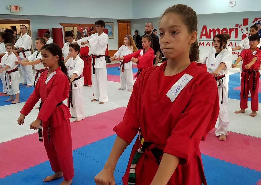 Amerikick Karate | 360 S Warminster Rd, Hatboro, PA 19040, USA | Phone: (215) 343-2378