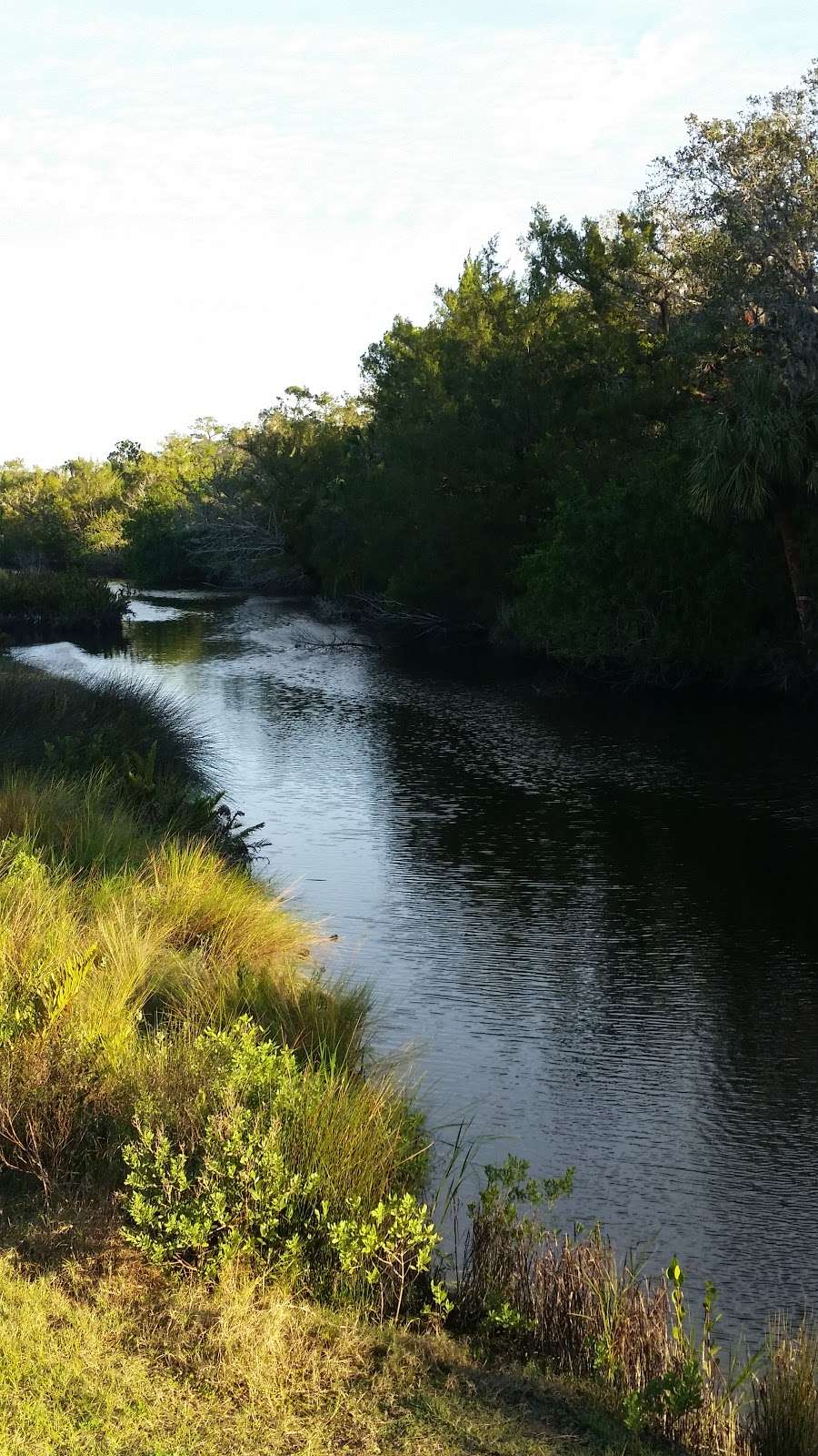 Otter Park South | Otter Blvd, New Smyrna Beach, FL 32168, USA | Phone: (386) 424-2175