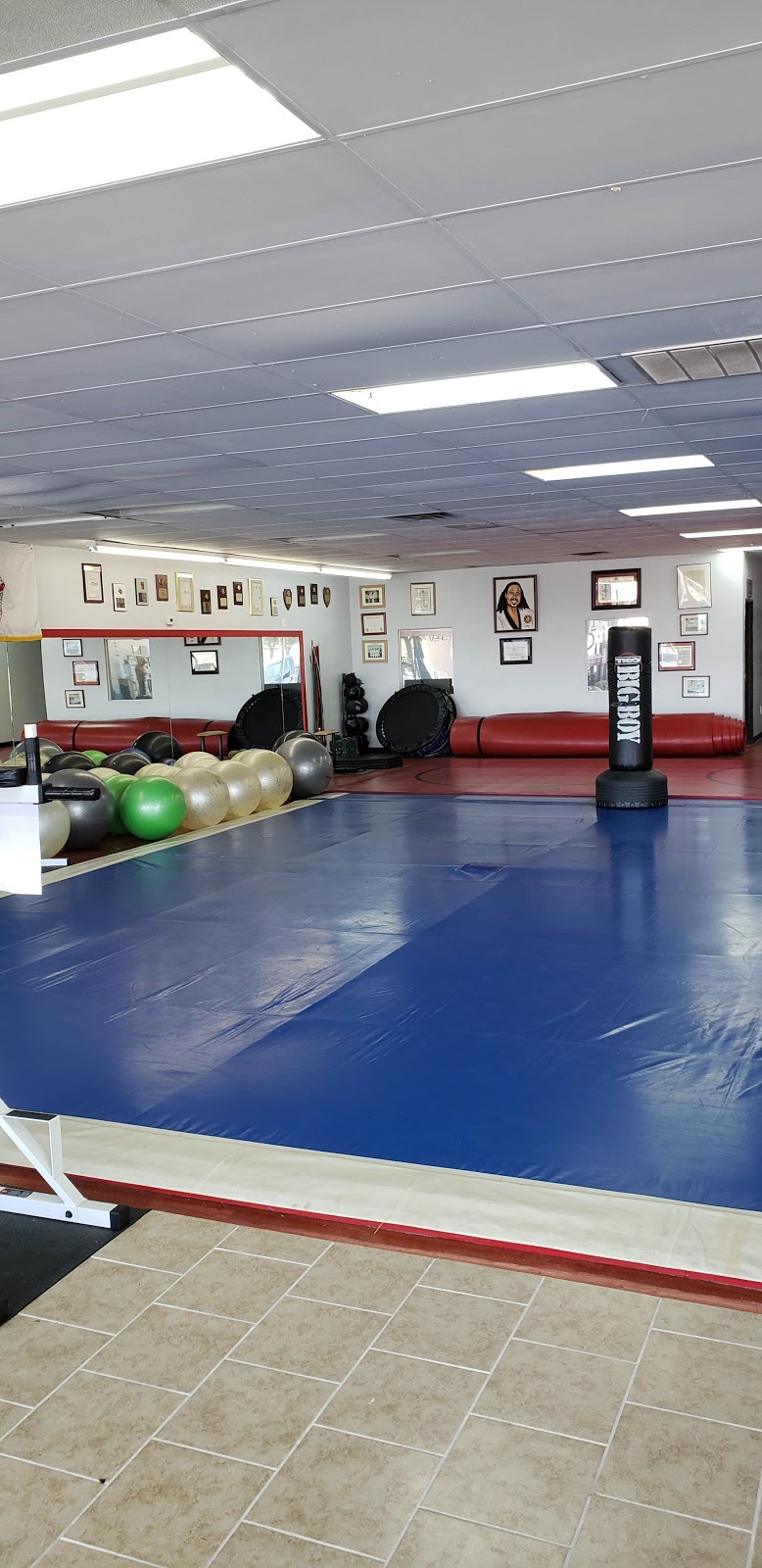 Dallas Tae Kwon Do Center | 526 E Wheatland Rd, Duncanville, TX 75116, USA | Phone: (972) 709-4567