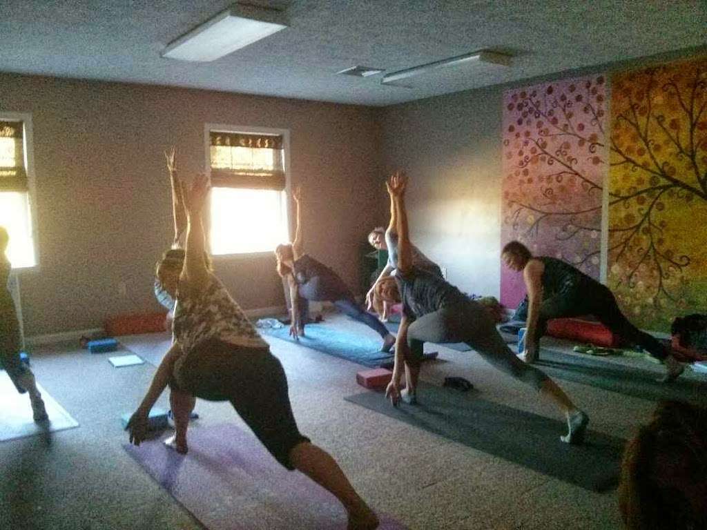 Mountain Yoga | 359 S Mountain Blvd, Mountain Top, PA 18707 | Phone: (570) 466-5613