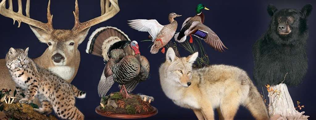 McKenzie Taxidermy Supply | 7956, 1910 St Lukes Church Rd, Salisbury, NC 28146, USA | Phone: (704) 279-7985