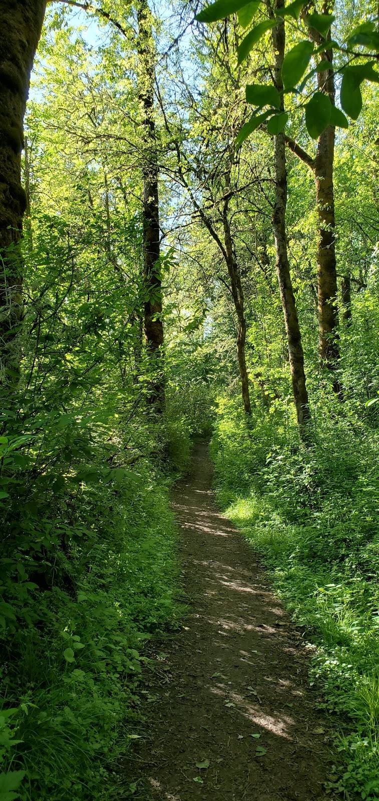 Sauvie Island Wildlife Area | 18330 NW Sauvie Island Rd, Portland, OR 97231, USA | Phone: (503) 621-3488