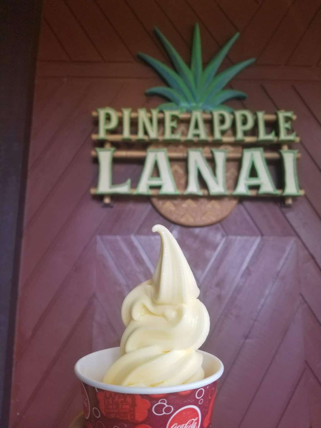 Pineapple Lanai | 1600 Seven Seas Drive, Orlando, FL 32830, USA | Phone: (407) 934-7639