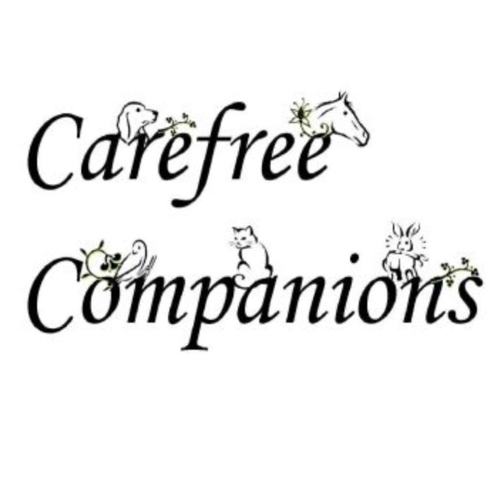 Carefree Companions Pet Care | 2333 Catalina Ave, Vista, CA 92084, USA | Phone: (619) 867-6892