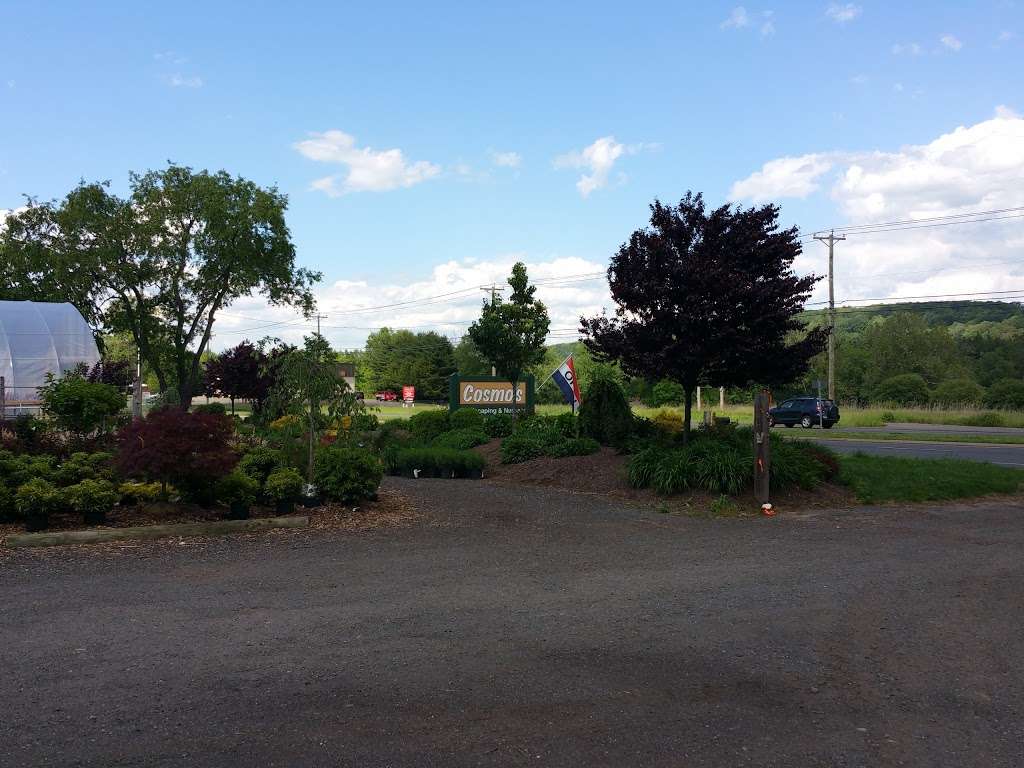 Cosmos Landscaping and Nursery | 548 Danbury Rd, New Milford, CT 06776, USA | Phone: (860) 354-1735