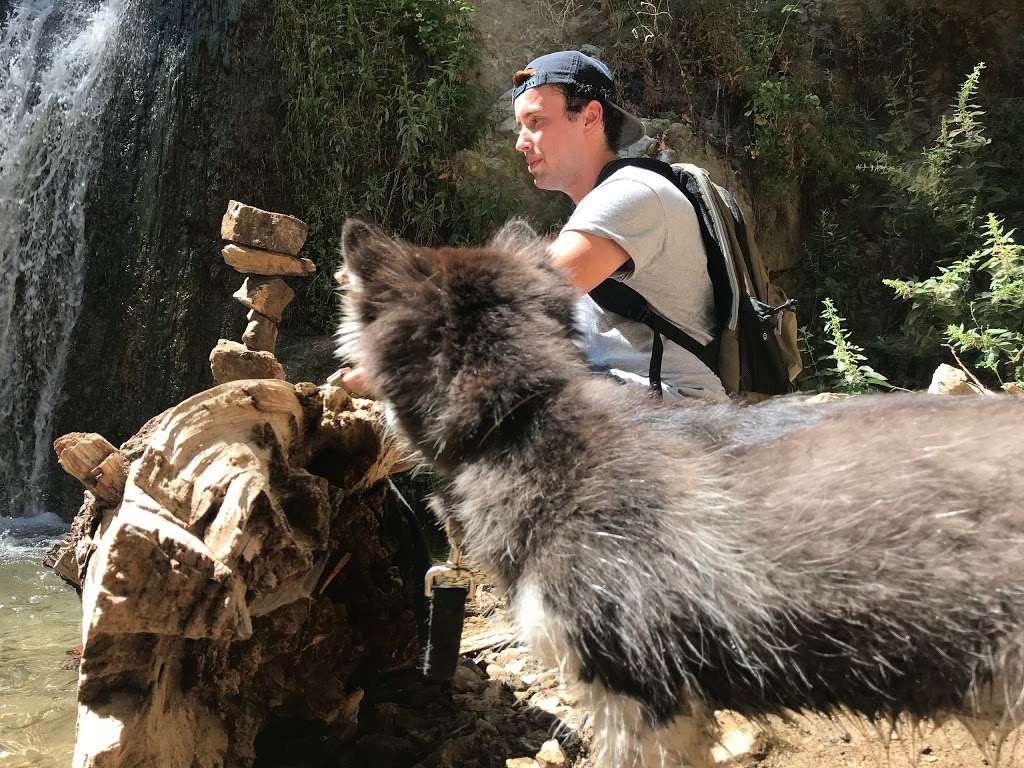 Lewis Falls | Soldier Creek, Azusa, CA 91702, USA