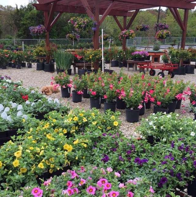 The Garden Center at Sepers Nursery | 1114 W. Weymouth Rd, Newfield, NJ 08344, USA | Phone: (856) 696-4220