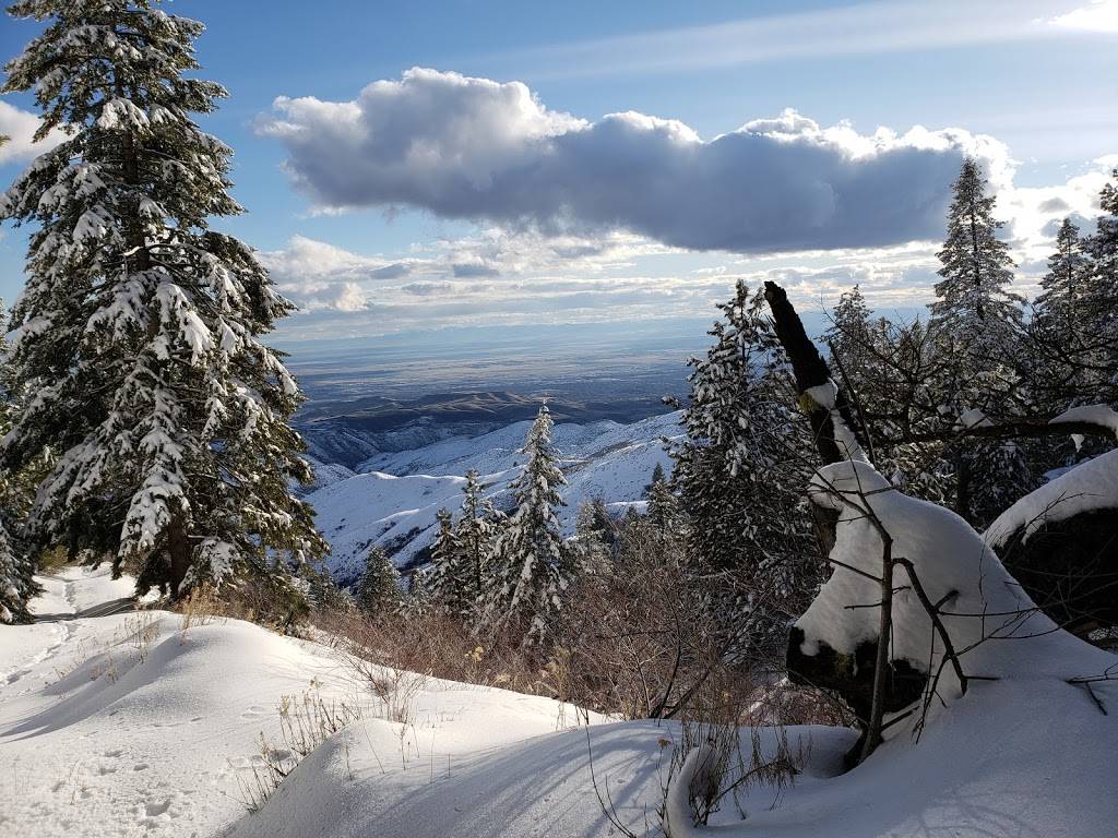 Five Mile Gulch #2 Trailhead | Shaw Mountain Rd, Boise, ID 83701, USA | Phone: (208) 373-4100