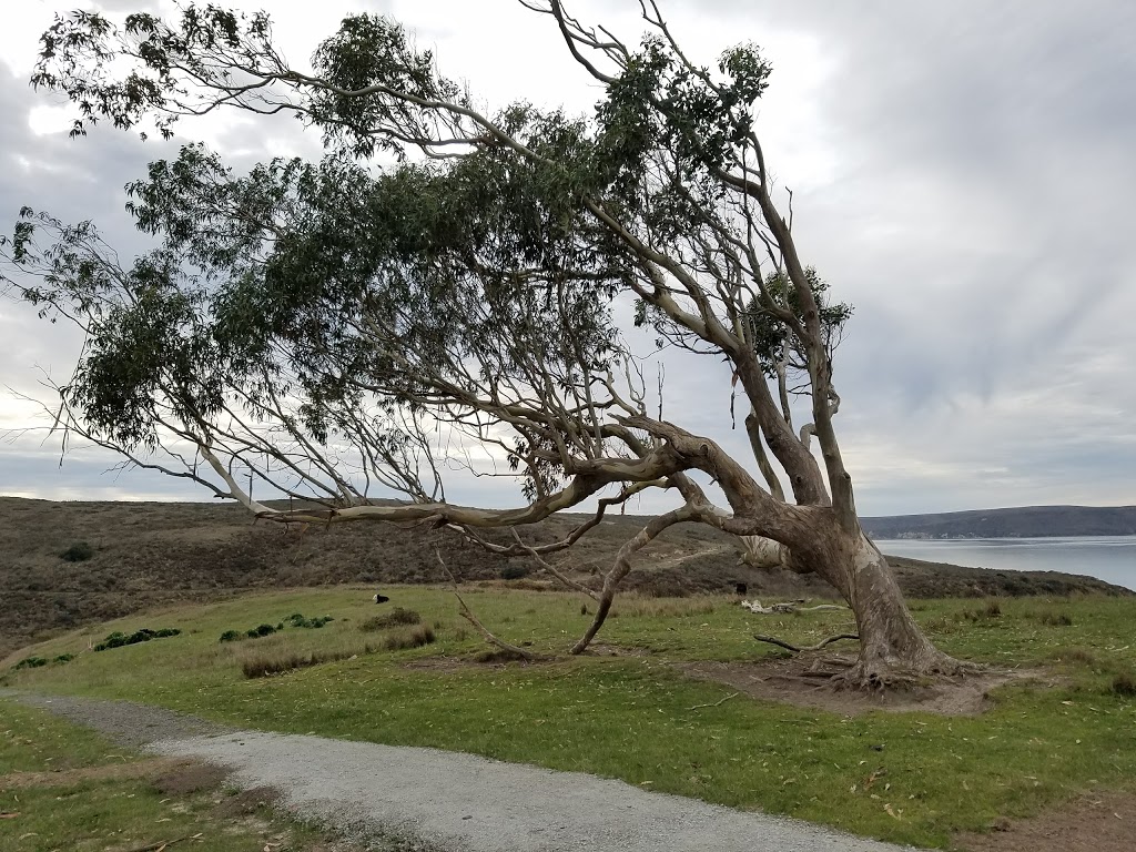 Drakes Estero Trailhead | Inverness, CA 94937, USA