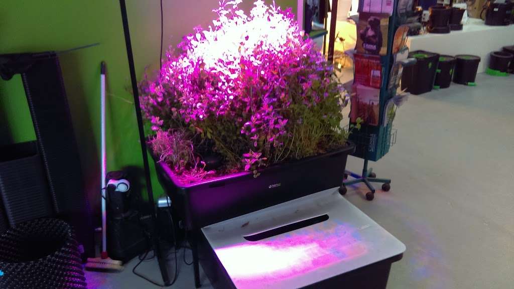London Grow | Kingswood Ind Est, 121 Theobalds Park Rd, Enfield EN2 9BH, UK | Phone: 020 3667 3311