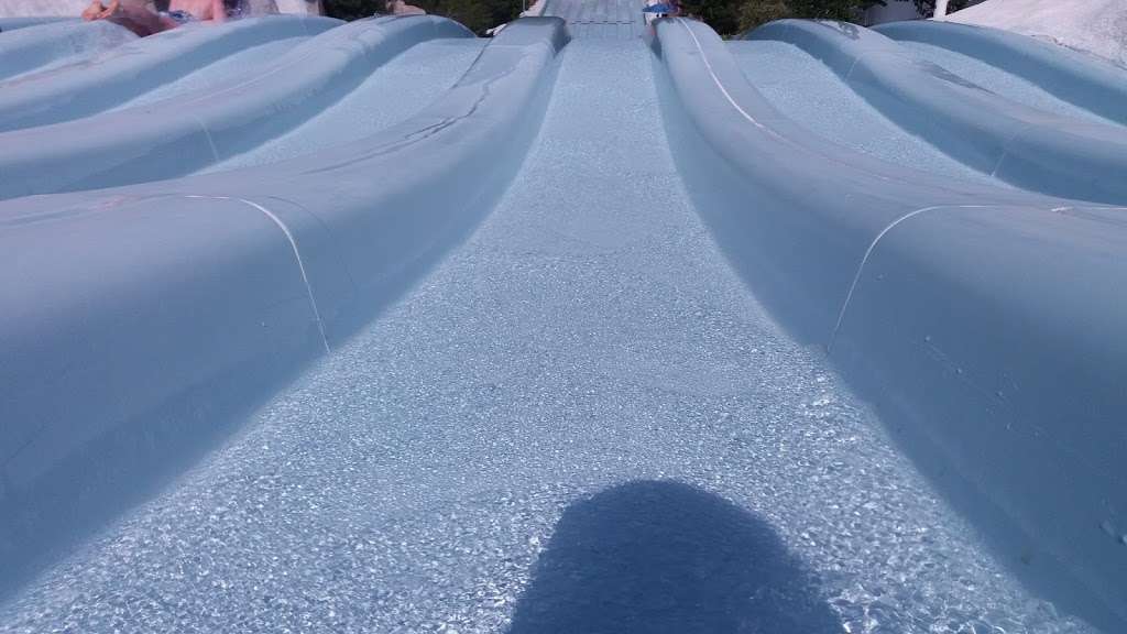 Toboggan Racers | 1534 Blizzard Beach Drive, Orlando, FL 32830, USA | Phone: (407) 939-5277