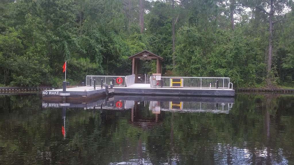 The Treehouse Villas (South) at Disneys Saratoga Springs Resort | Lake Buena Vista, FL 32830