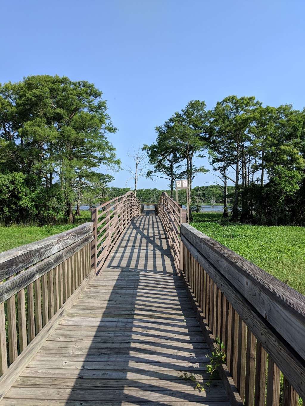 Trinity River Waterbird Rookery | I-10 Frontage, Wallisville, TX 77597, USA | Phone: (409) 389-2285