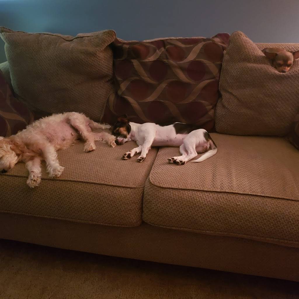 Churchs Chicken | 629 Cascade Ave SW, Atlanta, GA 30310, USA | Phone: (404) 752-7878