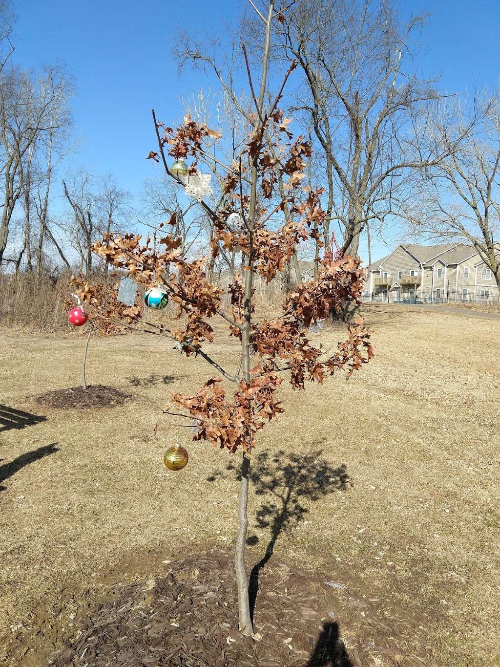 Sycamore Forest Preserve | 955 E State St, Sycamore, IL 60178, USA | Phone: (815) 895-7191