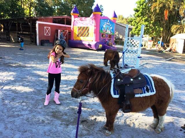Happy Pony World - travel agency  | Photo 4 of 10 | Address: 1881 SW 112th Ave, Davie, FL 33325, USA | Phone: (305) 747-2025