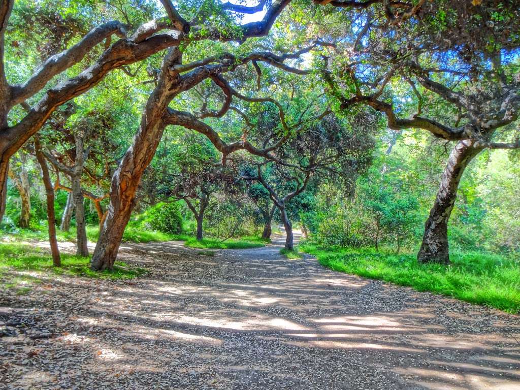 Temescal Gateway Park, Mountains Recreation & Conservation Autho | 15601 Sunset Blvd, Pacific Palisades, CA 90272, USA | Phone: (310) 454-1395