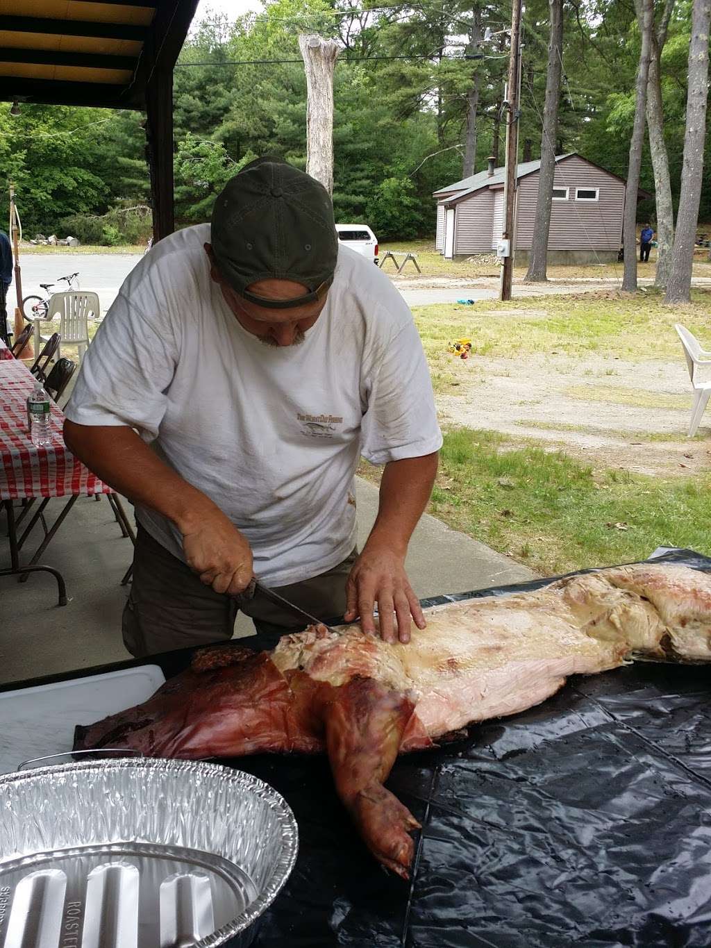 Forge Pond Campground Inc | 62 Forge Rd, Assonet, MA 02702, USA | Phone: (508) 644-5701