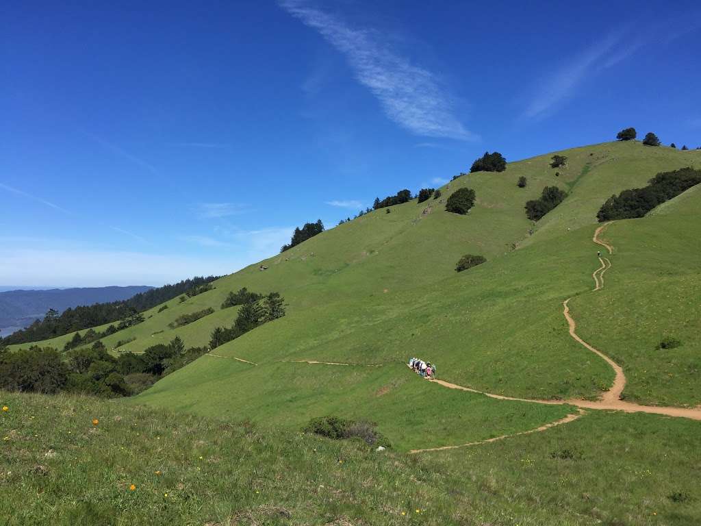 Mount Tamalpais State Park | 3801 Panoramic Hwy, Mill Valley, CA 94941, USA | Phone: (415) 388-2070