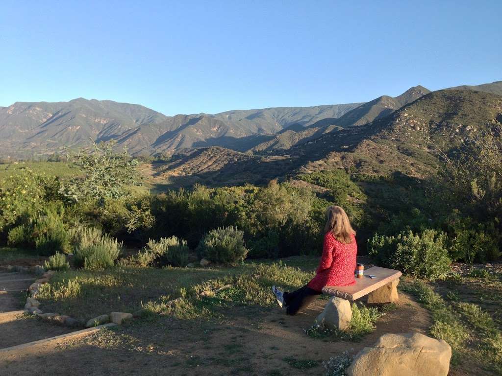 Guided Personal Retreat Intensives with author-healer Ronda LaRu | 703 Tico Rd, Ojai, CA 93023, USA | Phone: (805) 746-1657