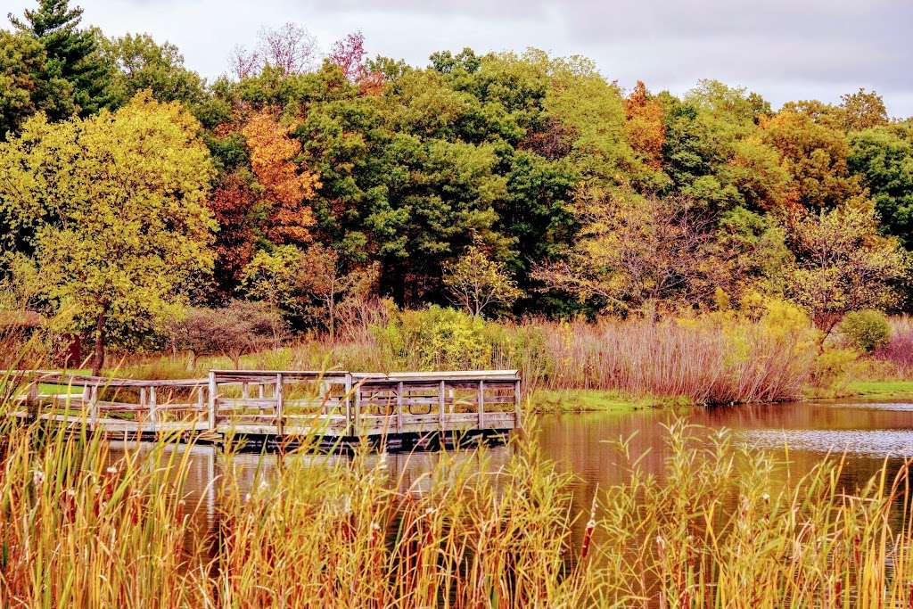 Wood Dale Grove Forest Preserve | Wood Dale, IL 60191, USA | Phone: (630) 933-7248