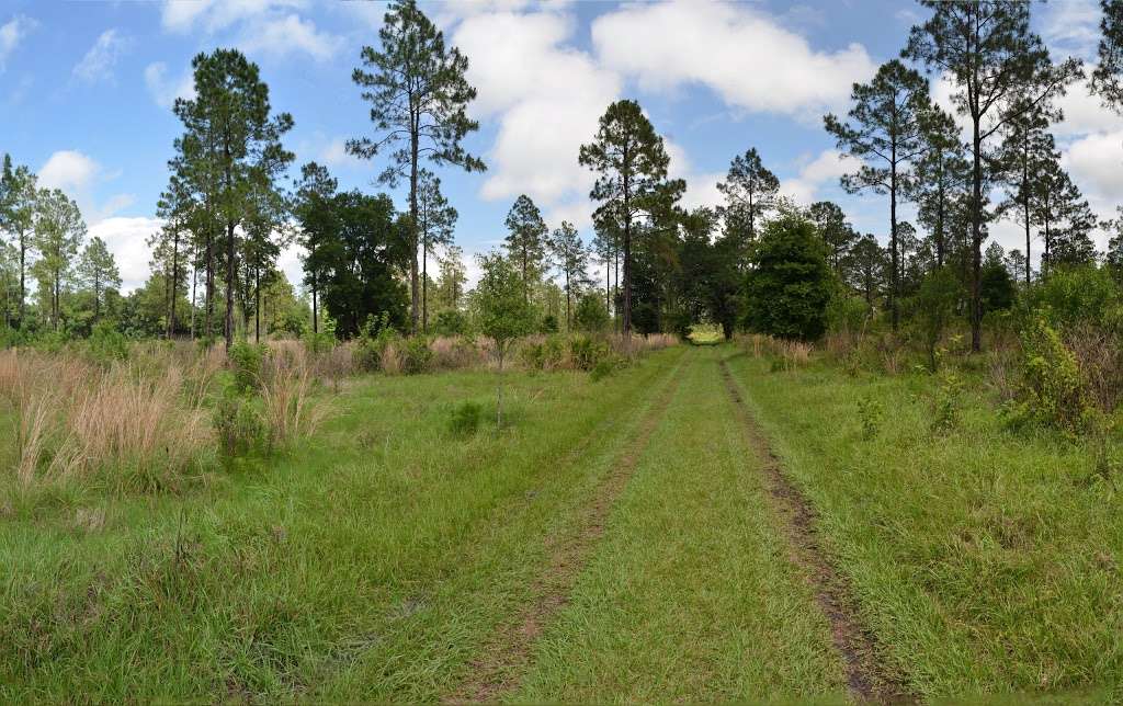 Lower Green Swamp Preserve | 3536 E Knights Griffin Rd, Plant City, FL 33565, USA | Phone: (727) 403-6254