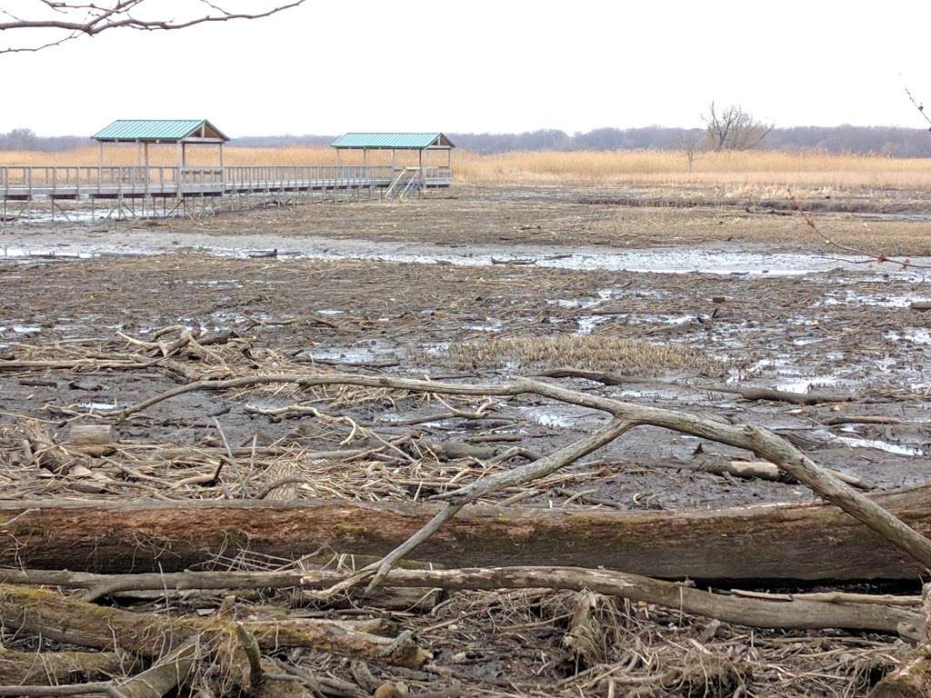 John Heinz National Wildlife Refuge at Tinicum | 8601 Lindbergh Blvd, Philadelphia, PA 19153, USA | Phone: (215) 365-3118