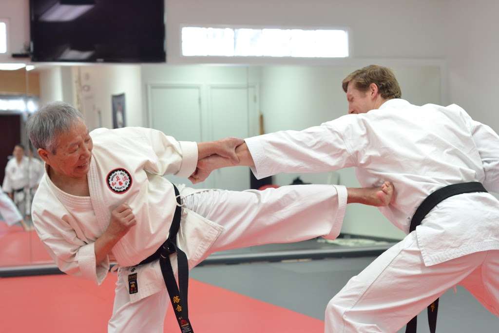 Hidy Ochiai Karate - Northern Virginia | 21140 Ashburn Crossing Drive #150, Ashburn, VA 20147 | Phone: (571) 420-6758