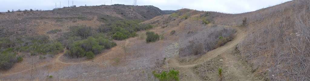 San Clemente Single Tracks | 301 Calle Extremo, San Clemente, CA 92672