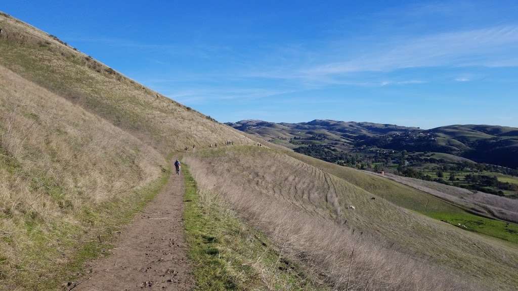 Agua Caliente Trail | Agua Caliente Trail, Milpitas, CA 95035, USA