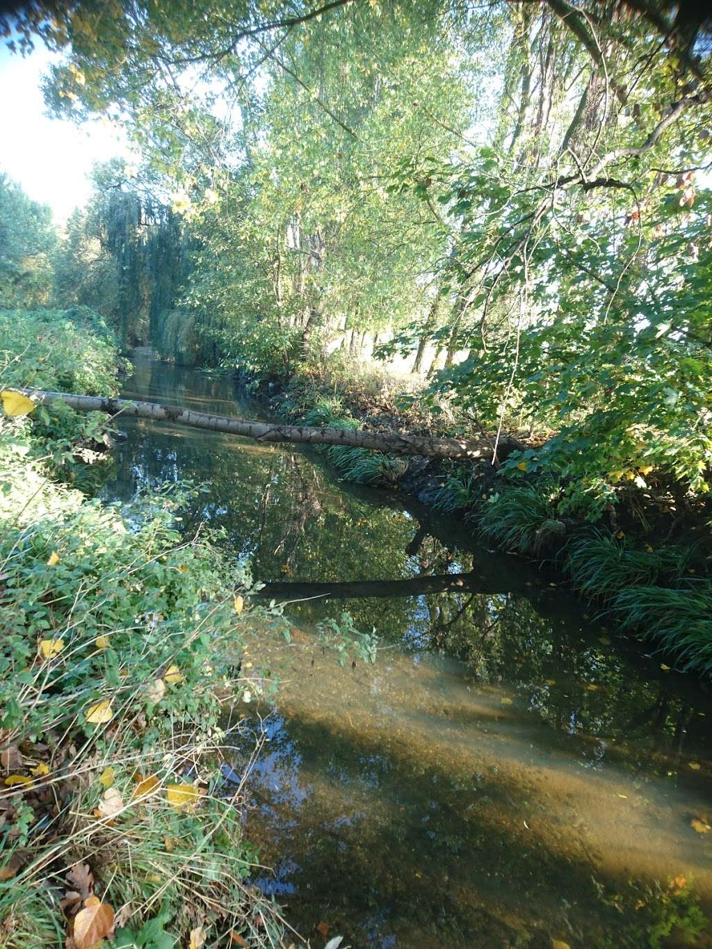 Riverpool Walkway Open Space | Kangley Bridge Road, London, Beckenham BR3 1QP, UK | Phone: 0300 303 8658