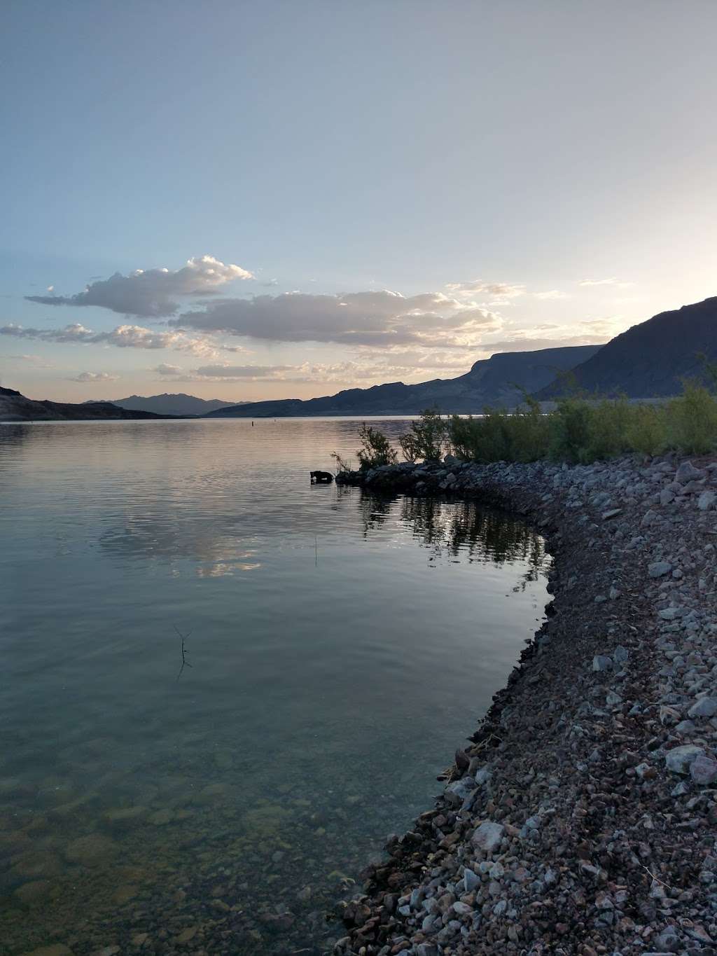 Lake Mead Visitor Center | 10 Lakeshore Rd, Boulder City, NV 89005, USA | Phone: (702) 293-8990