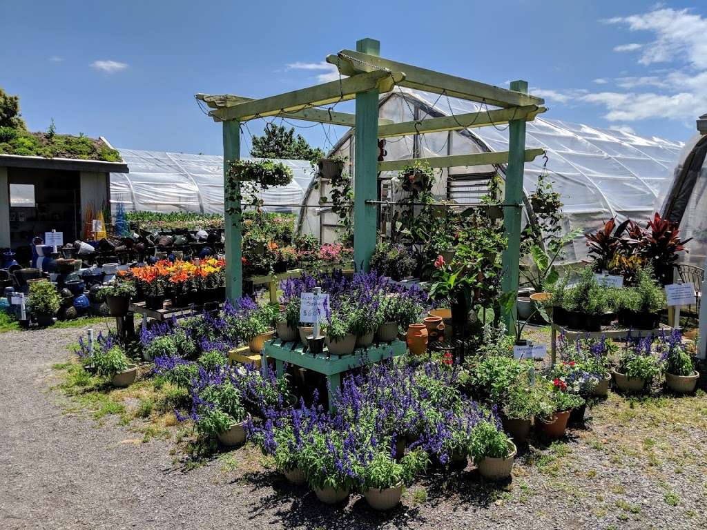 Windmill Heights Garden Center | 1901 Broad St, Culpeper, VA 22701, USA | Phone: (540) 825-2059