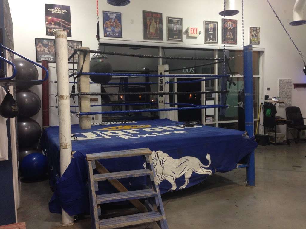 Big Cat Boxing | 6675 S Tenaya Way #140, Las Vegas, NV 89113, USA | Phone: (702) 588-3321