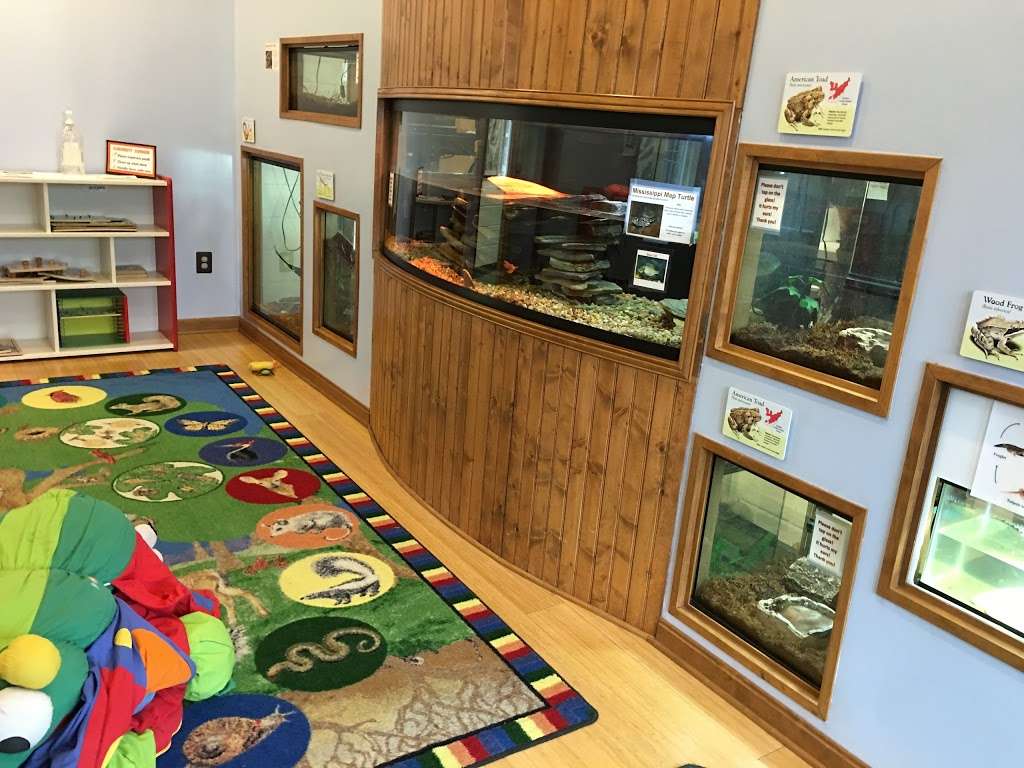 Meadowside Nature Center | 5100 Meadowside Ln, Rockville, MD 20855 | Phone: (301) 258-4030