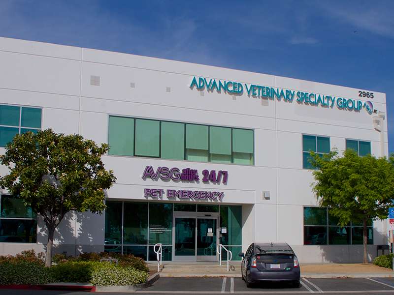 AVSG After Hours | 2965 Edinger Ave, Tustin, CA 92780, USA | Phone: (949) 653-9300