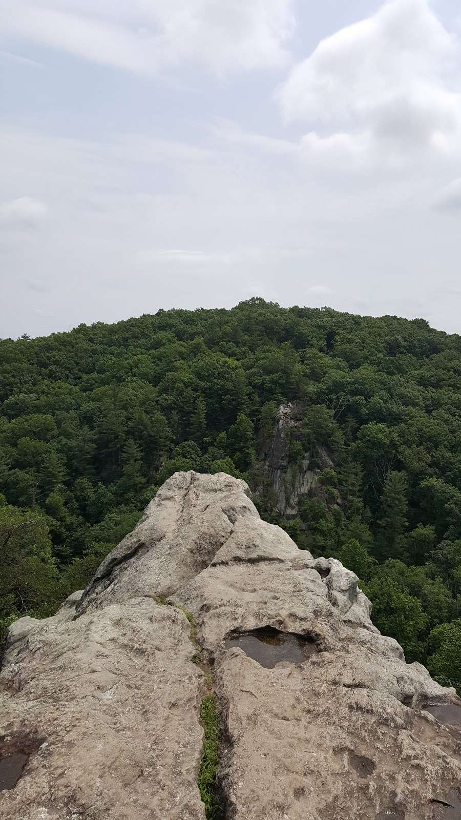 Rocks State Park - Rock Ridge Picnic Area | Jarrettsville, MD 21084, USA