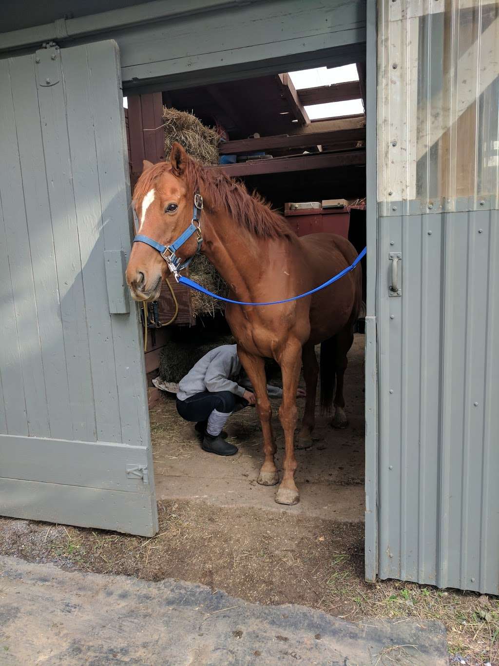 Kutztown Horse Stable | 261 Quarry Rd, Kutztown, PA 19530, USA | Phone: (610) 621-0677