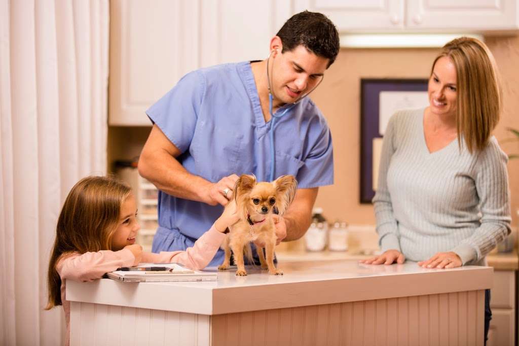 InstaVet - House Call Veterinarians of New York & New Jersey | 35 W 96th St, New York, NY 10025, USA | Phone: (917) 525-2579