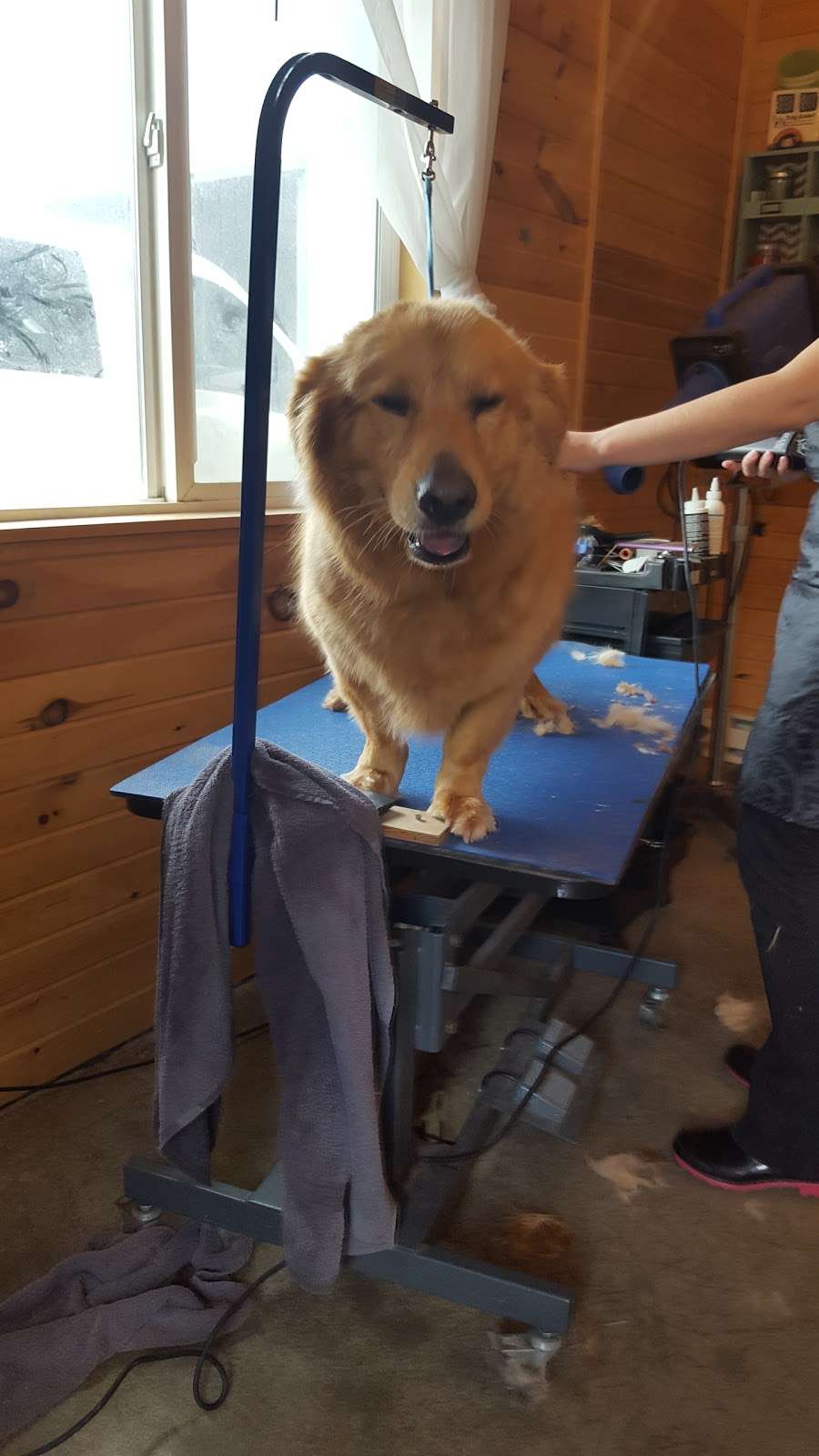 Monrovia Equine & Small Animal Clinic | 8906 N, IN-39, Mooresville, IN 46158, USA | Phone: (317) 996-2116