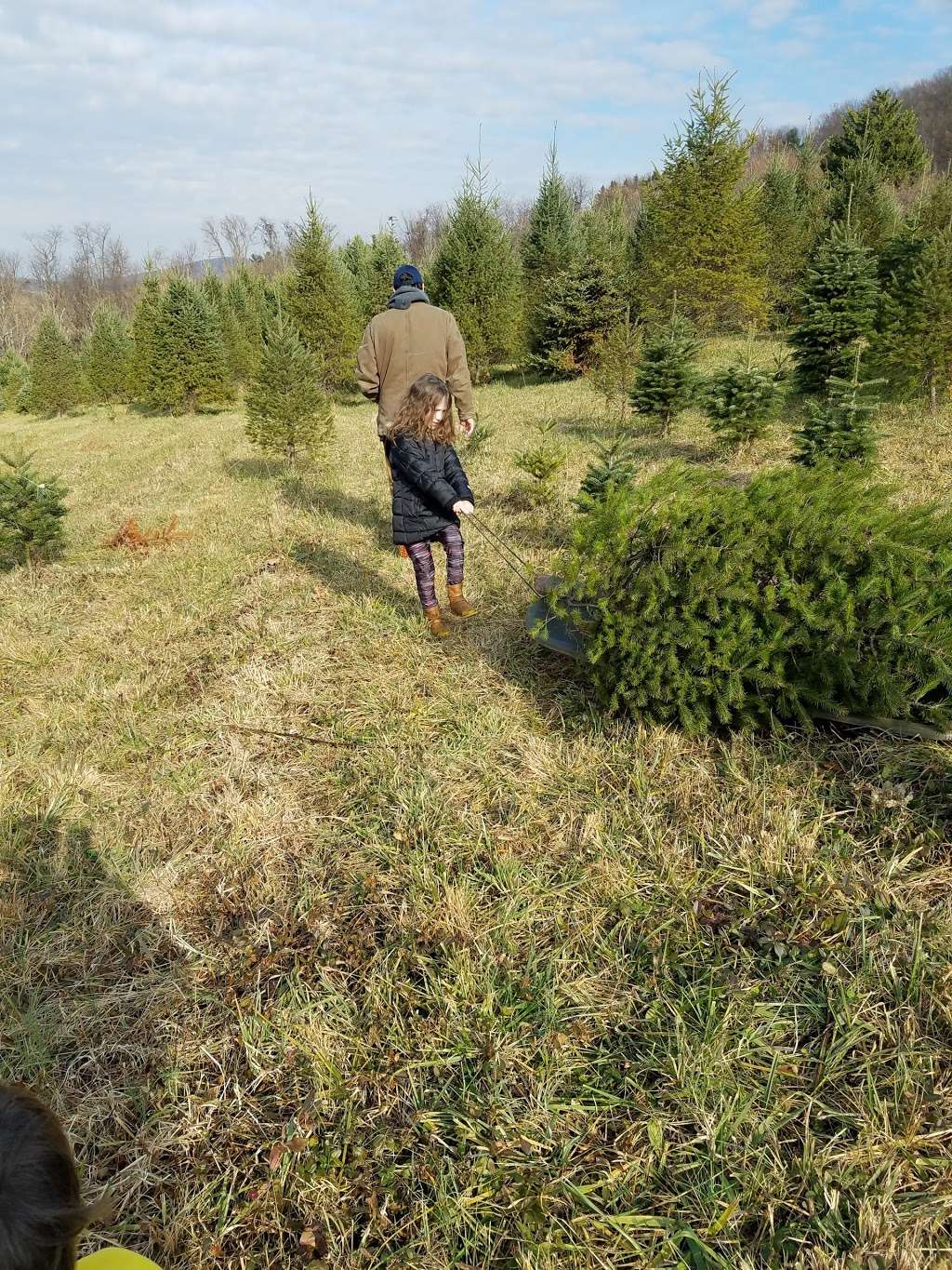 South Mountain MicroFARM | 6138 Clevelandtown Rd, Boonsboro, MD 21713, USA