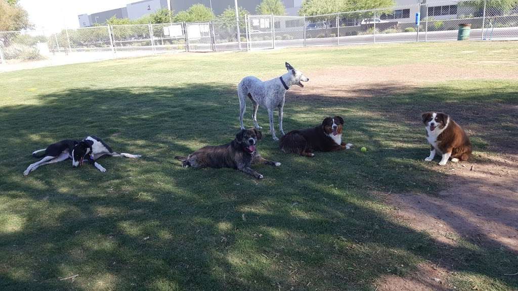 Nozomi Dog Park | Chandler, AZ 85226, USA